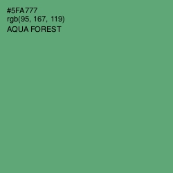 #5FA777 - Aqua Forest Color Image